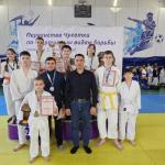  Окружные соревнования по спортивным видам борьбы.