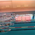 Показательные выступления по плаванию, посвященные Дню защитника Отечества!